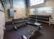 Thumbnail 20 of 23 - a view of the weights area in the gym at Conwood Flats, Memphis, Tennessee