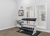 Thumbnail 25 of 29 - A black and white photo is hanging on a white wall above a rack of black dumbbells.