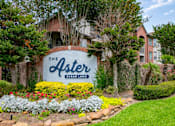 Thumbnail 30 of 30 - a sign that says the aster sugar land with flowers and bushes in front of it  at The Aster Sugar Land, Texas, 77498