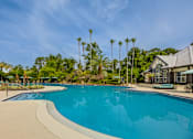 Thumbnail 1 of 58 - A large swimming pool surrounded by palm trees and a building.