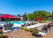 Thumbnail 20 of 31 - Poolside Lounge Chairs at Parc 1346, Chattanooga, Tennessee