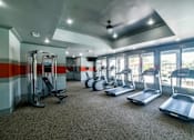 Thumbnail 22 of 31 - a gym with cardio equipment and windows at Parc 1346, Chattanooga, 37421