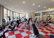 Thumbnail 12 of 15 - A gym with a red and white checkered floor.