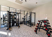 Thumbnail 27 of 43 - a gym with weights and cardio equipment at The One at Spartanburg, Spartanburg, South Carolina