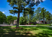 Thumbnail 16 of 29 - a large tree in the middle of a grass field at The Summit Apartments, Tennessee, 38128