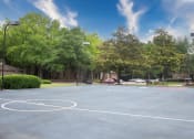 Thumbnail 14 of 29 - a basketball court in a park with trees at The Summit Apartments, Tennessee