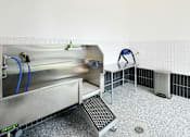 Thumbnail 22 of 29 - A dog wash basin with grooming equipment