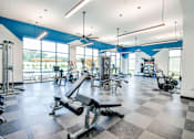 Thumbnail 14 of 29 - A gym with a variety of equipment including treadmills, weights, and exercise machines.