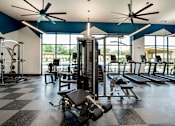 Thumbnail 15 of 29 - A gym with a variety of equipment including treadmills, weights, and a bench press.