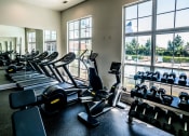 Thumbnail 13 of 25 - Fitness Center at Grand Island Apartments, Tennessee, 38103