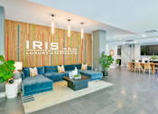 Thumbnail 28 of 38 - A living room with a blue couch and a sign that says "LIS".