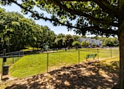 Thumbnail 31 of 38 - Green Lawn at Lakeside Villas Apartments, Hampton, GA, 30228