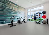Thumbnail 15 of 25 - A gym with exercise equipment and a colorful wall.