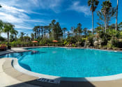 Thumbnail 35 of 39 - Super Pool with Rock Grotto and Waterfall - Paradise Island at Paradise Island, Jacksonville, FL