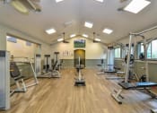 Thumbnail 25 of 39 - Fit Studio at Paradise Island Apartments, Jacksonville, FL 32256