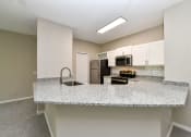 Thumbnail 2 of 39 - Kitchen Overview at Paradise Island, Florida, 32256