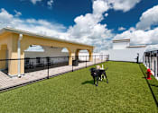 Thumbnail 13 of 31 - Dog park at Maitland City Centre, Maitland, 32751