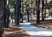 Thumbnail 14 of 19 - Walking Trail located at Venue at Carrolton in Carrolton, GA 30117