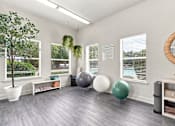 Thumbnail 23 of 34 - A room with a mirror, a tree, and exercise balls.