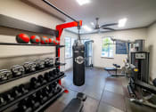 Thumbnail 17 of 27 - the gym is equipped with weights and a punching bag at Twenty35 at Timothy Woods, Athens, Georgia