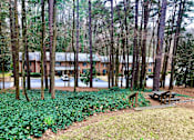 Thumbnail 28 of 33 - Outdoor Foliage at Villas on Briarcliff, Georgia, 30329