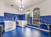 Thumbnail 26 of 30 - A room with blue floors and white walls has a window with a view of trees.