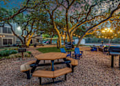 Thumbnail 28 of 30 - A picnic area with tables and chairs under trees.