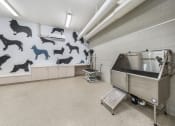 Thumbnail 34 of 35 - a large room with a sink and a wall with dogs on it