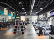Thumbnail 17 of 34 - Fitness center with treadmills and dumbbells