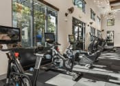 Thumbnail 26 of 35 - a gym with treadmills and other exercise equipment in a building with large windows