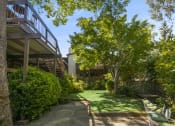 Thumbnail 2 of 12 - Manicured Property Courtyard at 3543 Brook Street in Lafayette, California