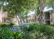 Thumbnail 15 of 32 - Courtyard With Green Space at The Glens, California