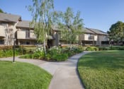 Thumbnail 2 of 27 - Lush Green Outdoor Spaces at Carrington Apartments, Fremont, CA