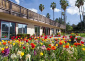 Thumbnail 18 of 33 - Beautiful Flowers at Valley West, California