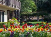 Thumbnail 17 of 33 - Courtyard With Green Space at Valley West, San Jose
