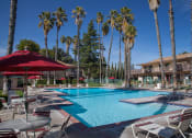 Thumbnail 6 of 33 - Swimming Pool With Relaxing Sundecks at Valley West, San Jose, CA