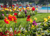 Thumbnail 15 of 33 - Beautiful Garden In Courtyard at Valley West, San Jose, 95122