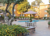 Thumbnail 8 of 43 - Poolside Dining Tables at The Monterey, California