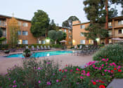 Thumbnail 5 of 43 - Swimming Pool With Relaxing Sundecks at The Monterey, San Jose, CA