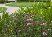 Thumbnail 8 of 46 - Courtyard With Garden Space at Diablo Pointe, Walnut Creek, 94596