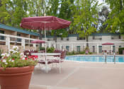 Thumbnail 7 of 46 - Poolside Relaxing Area at Diablo Pointe, Walnut Creek