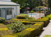 Thumbnail 11 of 15 - Courtyard Garden Space at Oak Pointe, Fremont, 94538