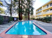 Thumbnail 22 of 24 - Swimming Pool at The Morgan, Lafayette, California