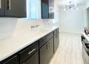 Thumbnail 10 of 40 - Granite Countertop Kitchen at Jefferson Street, Santa Clara, California