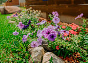 Thumbnail 18 of 20 - Outdoor Garden at Dream Island, Steamboat Springs, 80487