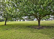 Thumbnail 22 of 30 - Green Background with large trees at Country Oaks, San Antonio, TX, Texas, 78253