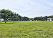 Thumbnail 21 of 30 - Tot Lot And Playing Field at Country Oaks, San Antonio, Texas