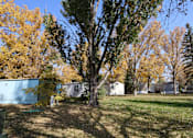Thumbnail 5 of 46 - a yard with a tree in front of a house at Circle Park, Wyoming