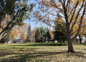 Thumbnail 6 of 46 - a park with trees and a house in the background at Circle Park, Cheyenne, WY