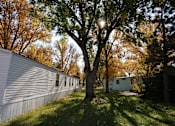 Thumbnail 12 of 46 - the sun shines through a tree in front of a house at Circle Park, Cheyenne, WY